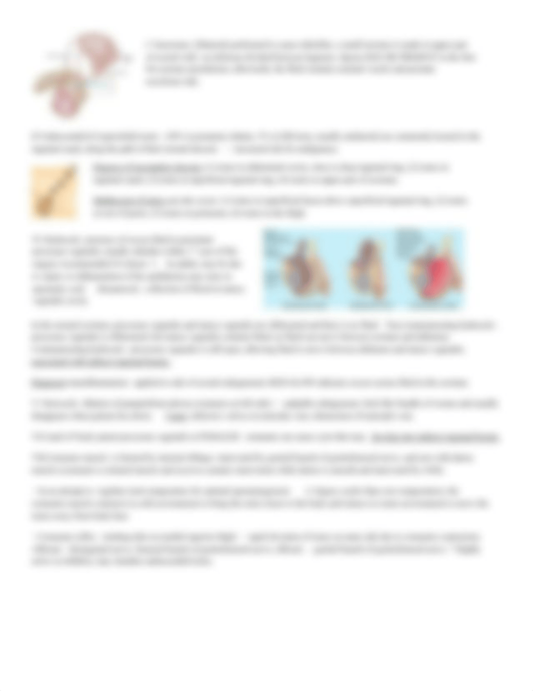 Testes and Scrotum.pdf_d98ghipzxg6_page2