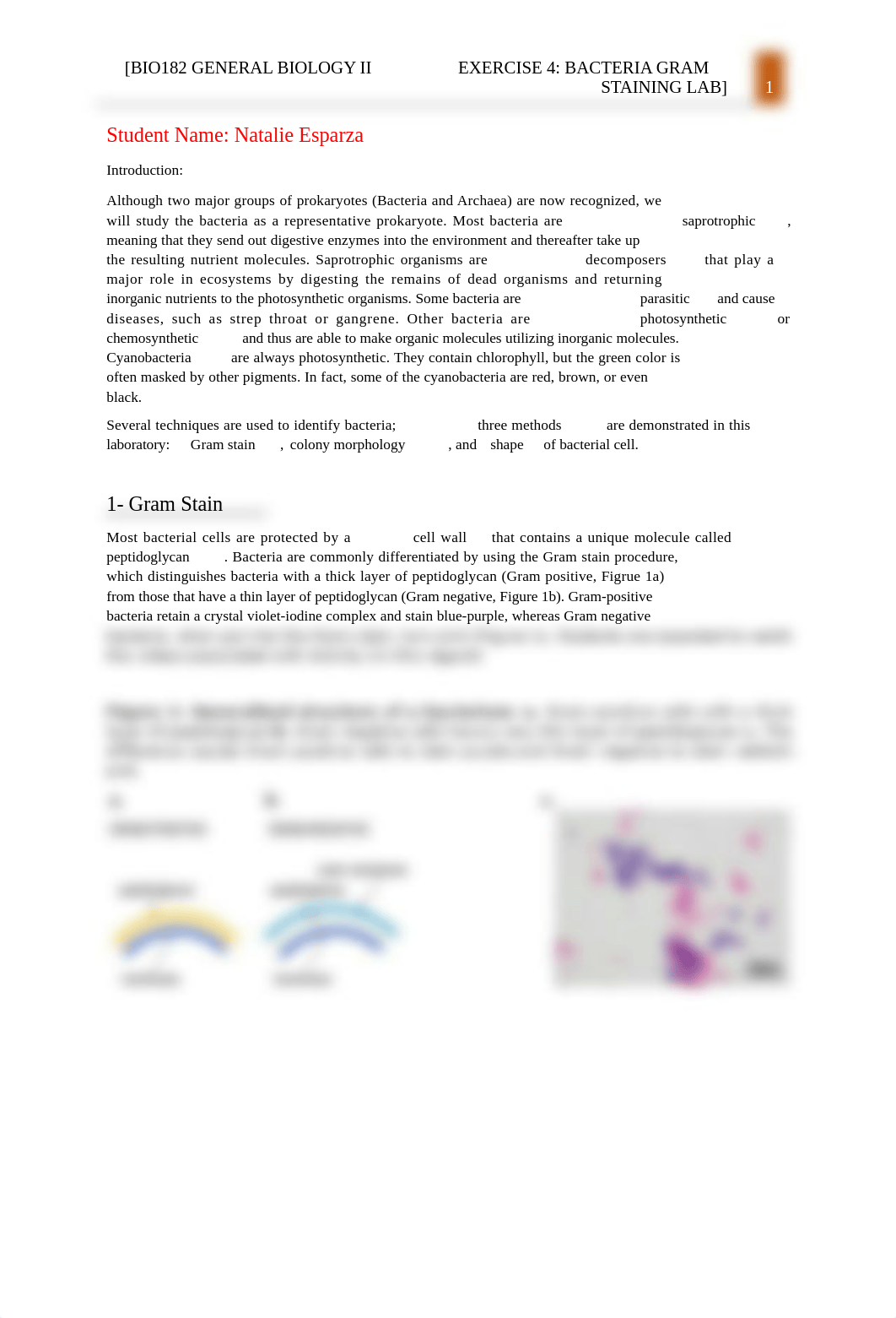 Exercise 4_Bacteria Gram Staining.docx_d98nkuxeykm_page1