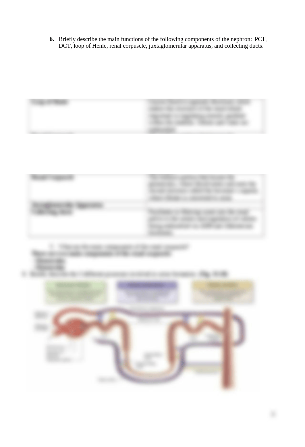 LO9- UrinaryKB (1).doc_d98sp106qih_page3