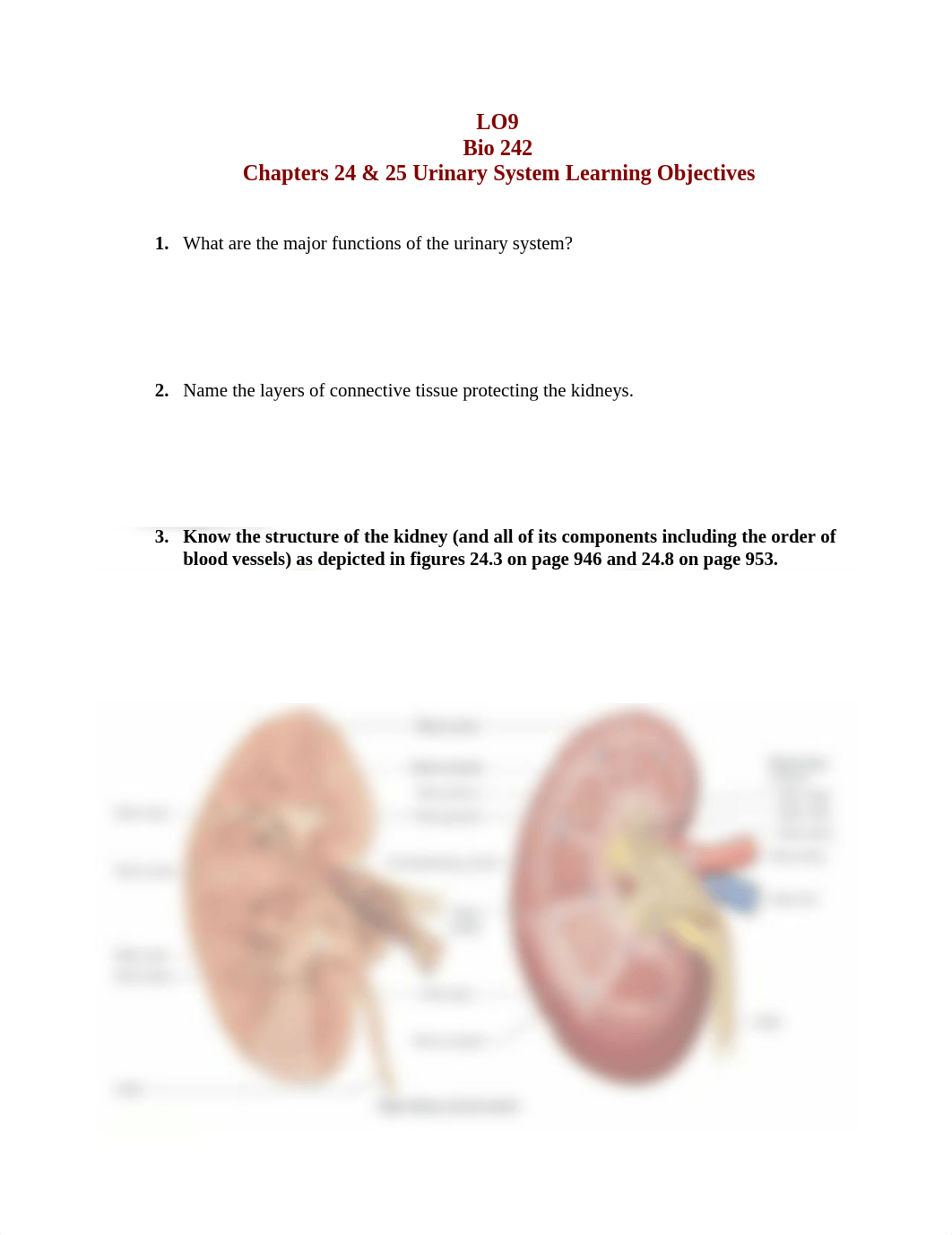 LO9- UrinaryKB (1).doc_d98sp106qih_page1