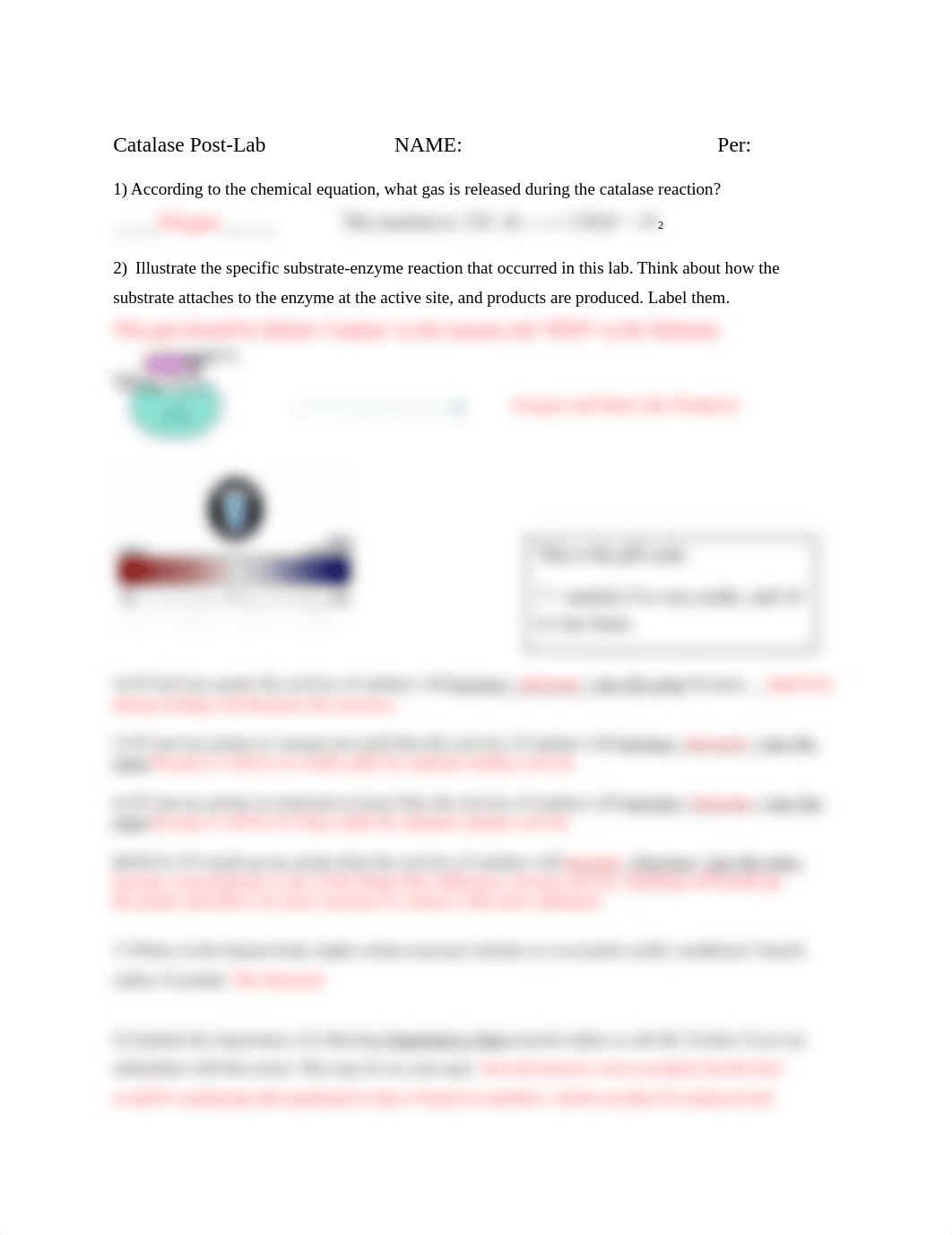 Lab Catalase Post Lab Corrected Copy 2.docx_d98xu04d4bk_page1