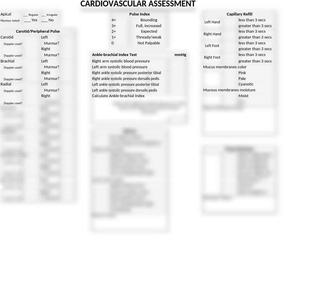 CV assessment.xlsx_d98xyjfkxvw_page1