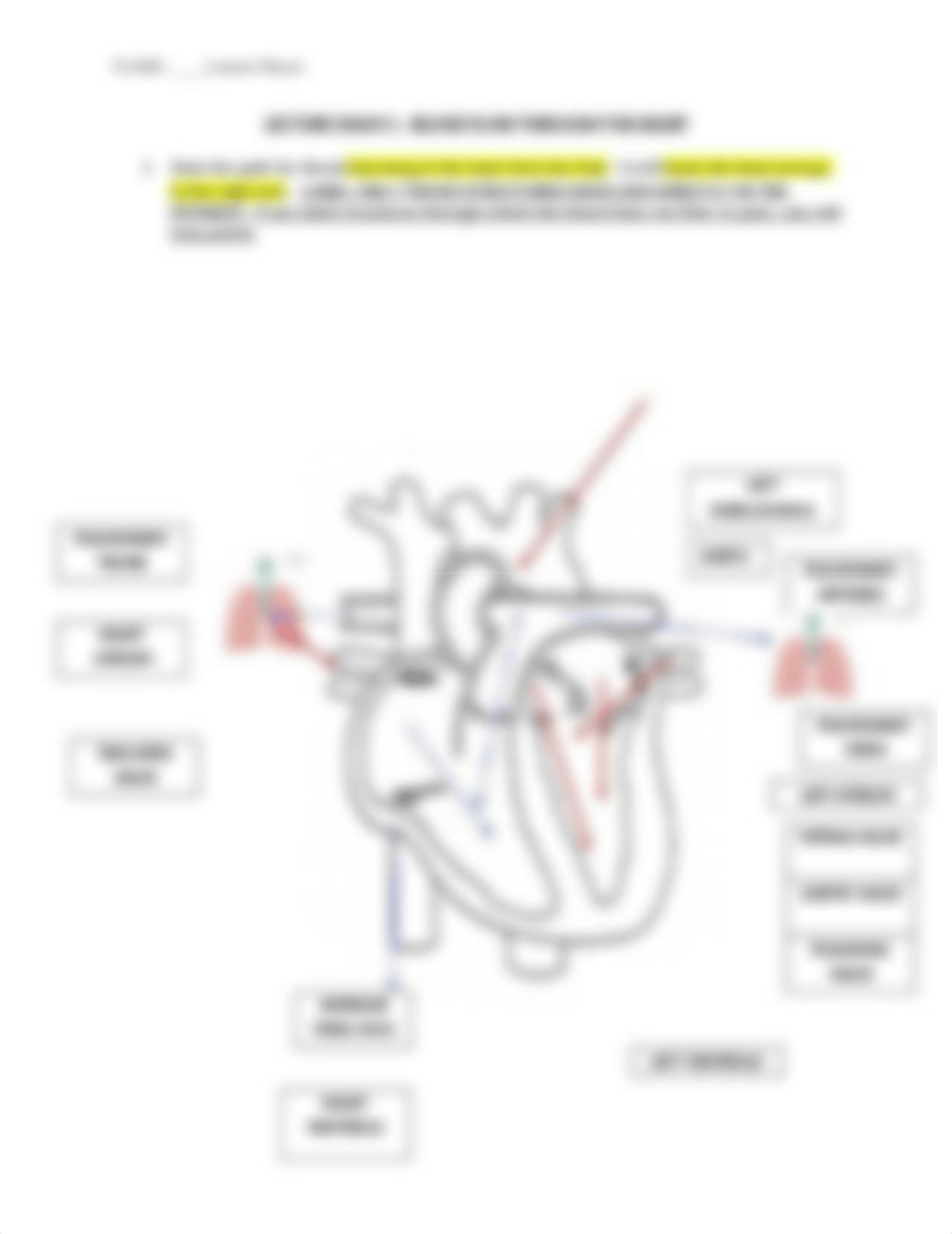 Exam_1_Blood_flow_with_arrows_d98ymhul5z4_page2