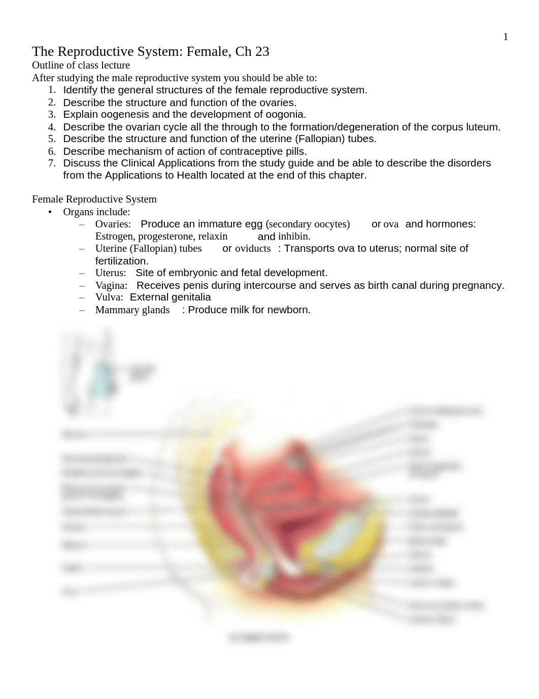 Chapter 23 Reproduction Female.pdf_d994rtd2o9k_page1