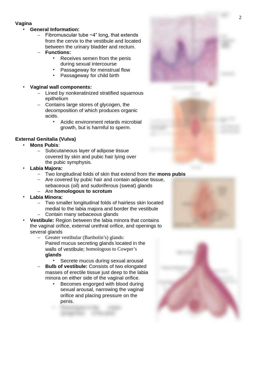 Chapter 23 Reproduction Female.pdf_d994rtd2o9k_page2