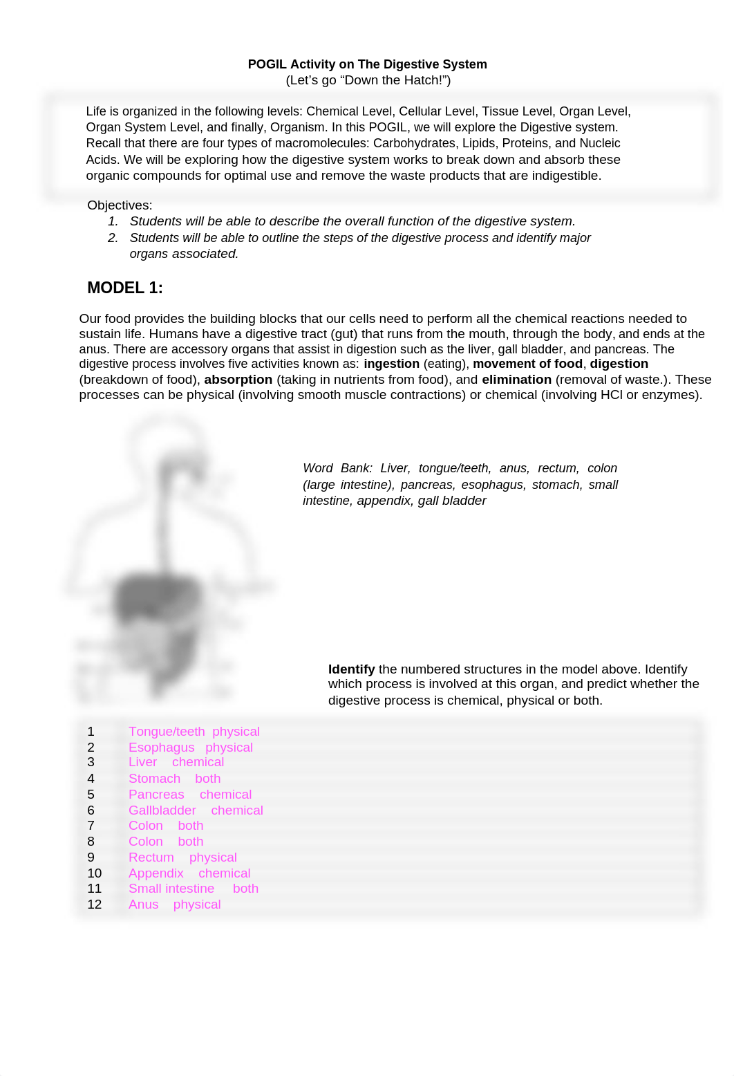 digestive_system_pogil.docx_d996tmbsw40_page1