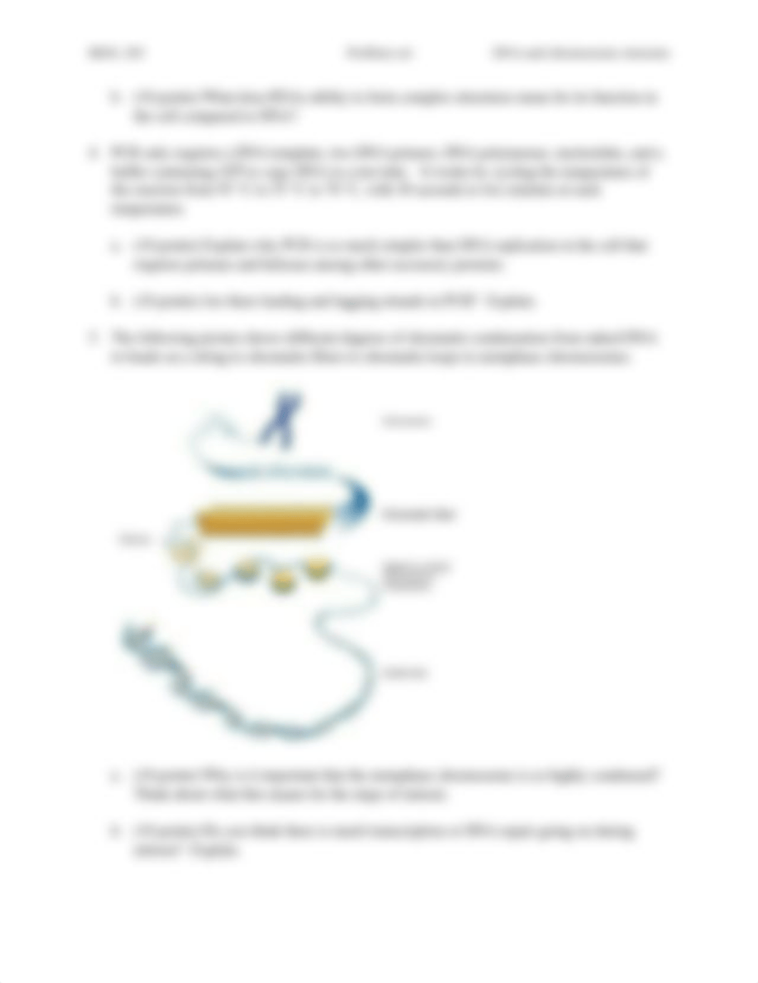 DNA and chromosome structure problem set.pdf_d998ofprv6i_page2