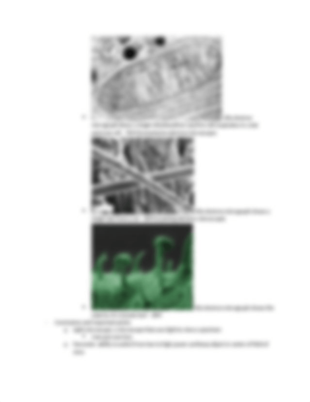 Bio Practical 1 and Exam 2 Study guide.docx_d99davr7b0u_page3