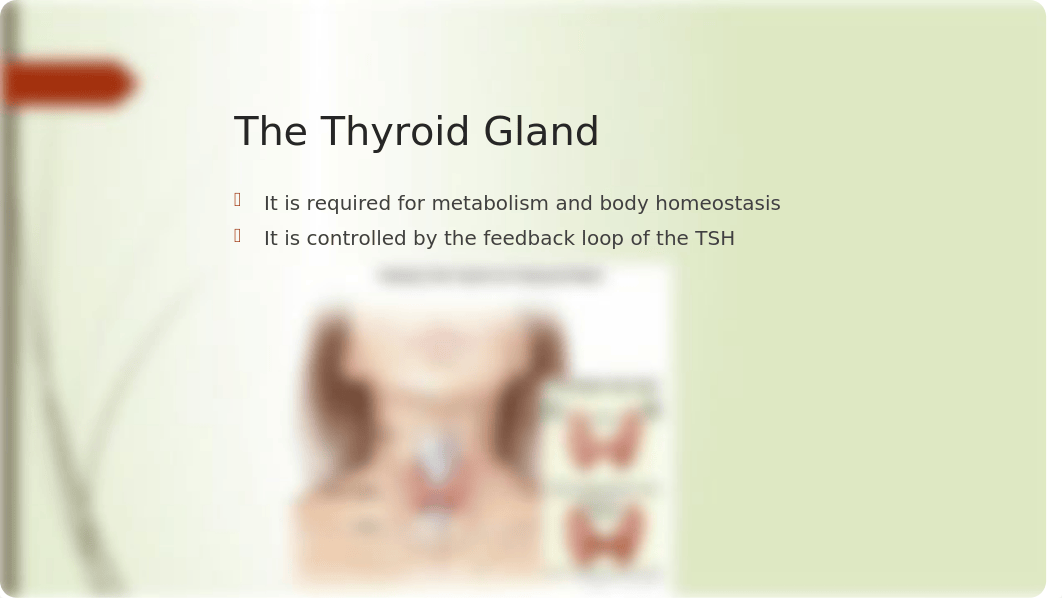 Endocrine System Powerpoint_d99dk0xvn58_page4