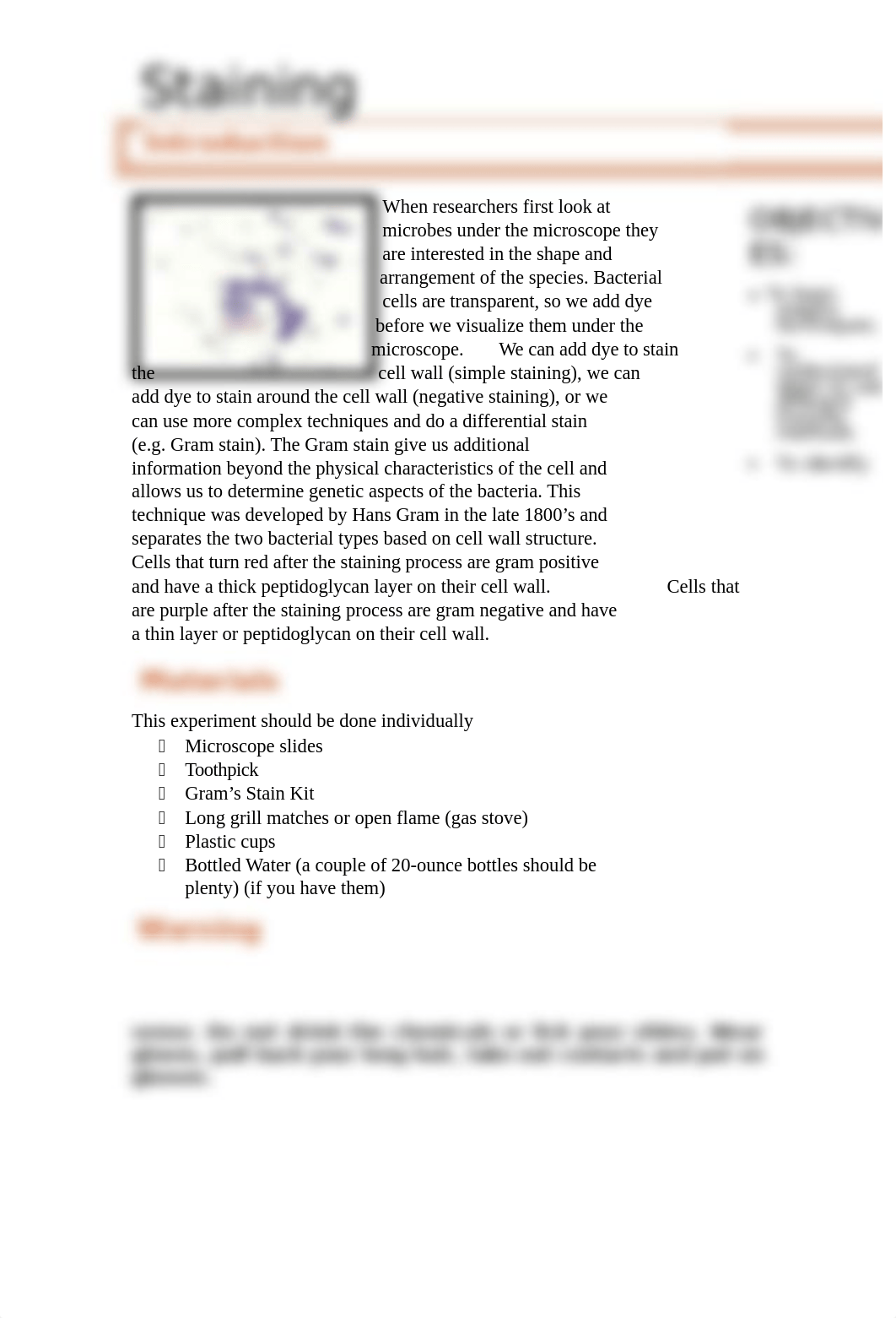 Staining Online Lab.docx_d99jxq2lo5p_page1