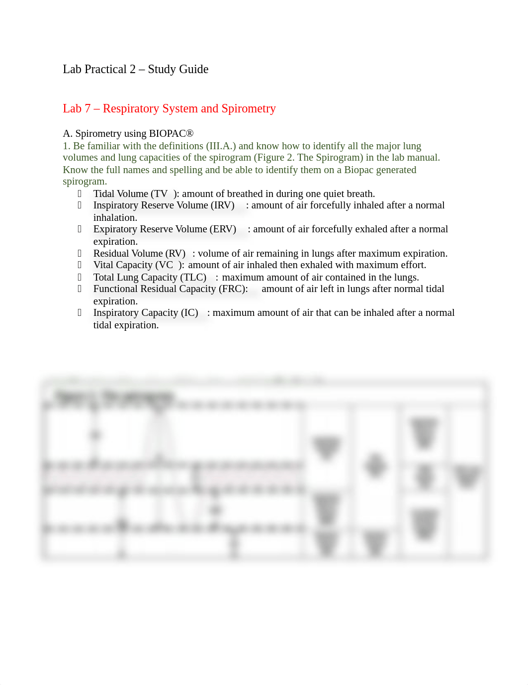 Lab Practical 2 Study Guide .docx_d99m3t4x37q_page1