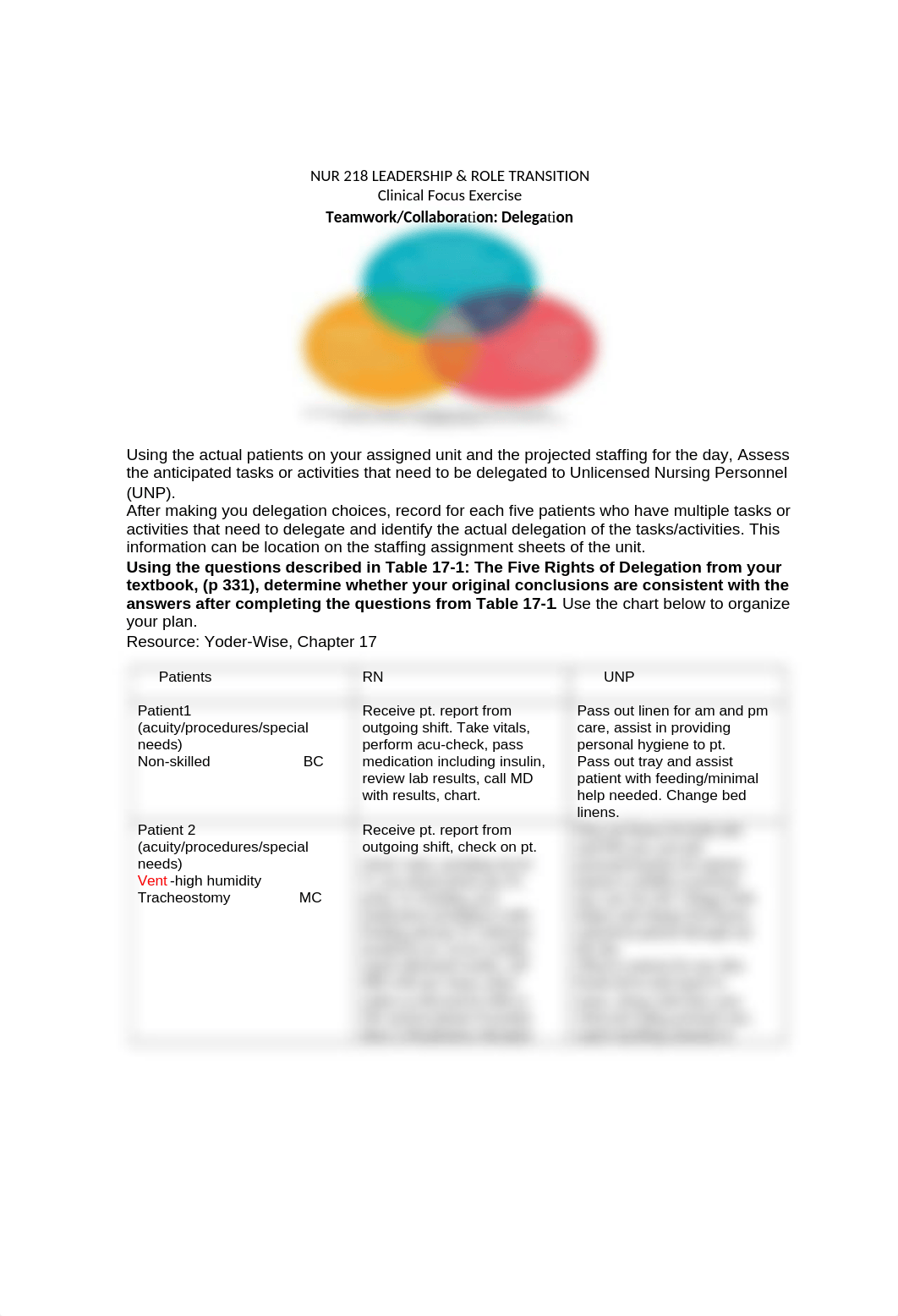 NUR 218 Teamwork-collabortion-delegation.docx_d99oiq5vs3s_page1