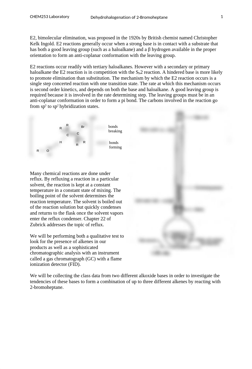 07_E2_lab_handout.docx_d99rz8eavbm_page1