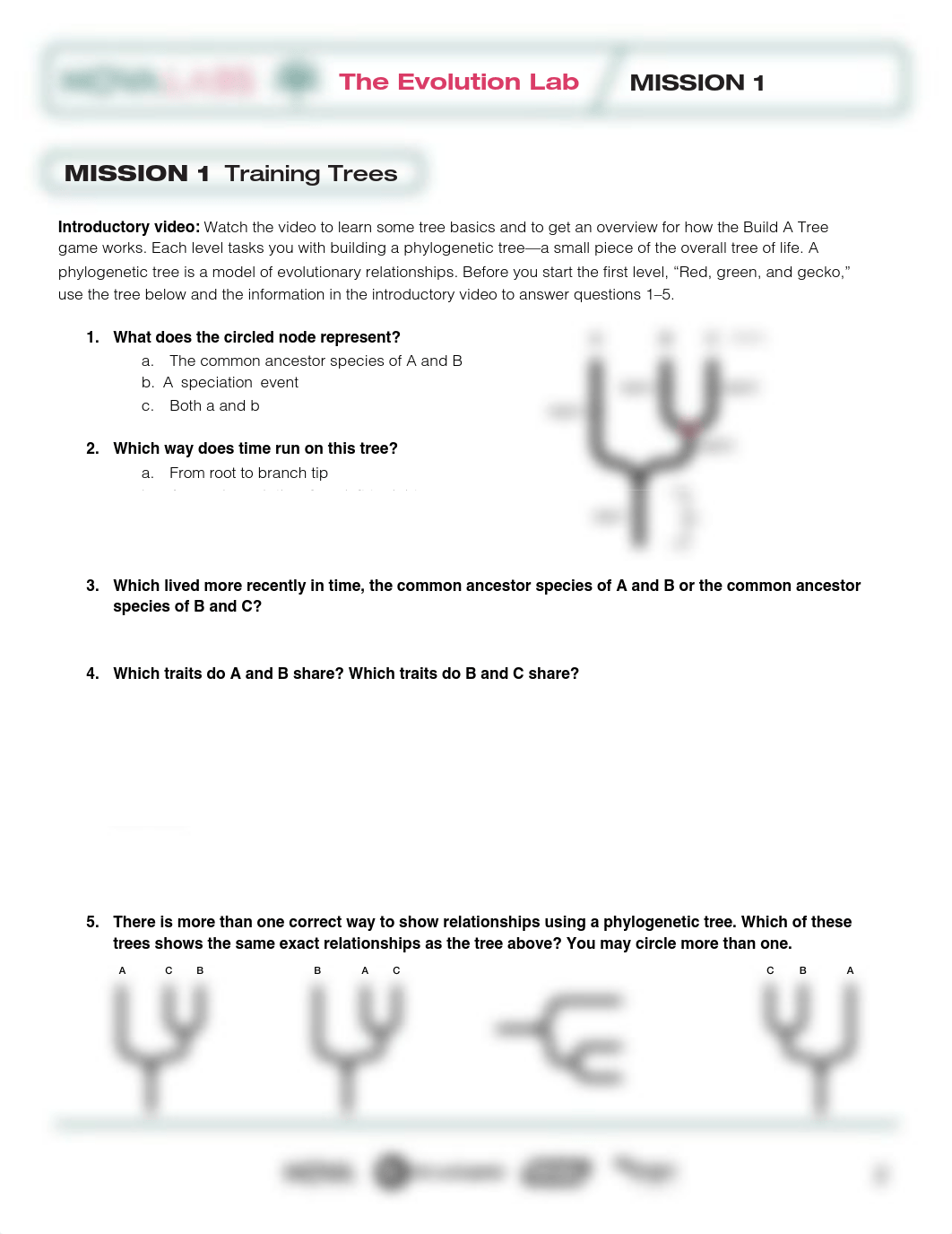 NOVA_Evolution_Lab_Worksheets.pdf_d99s8g6i1hc_page2