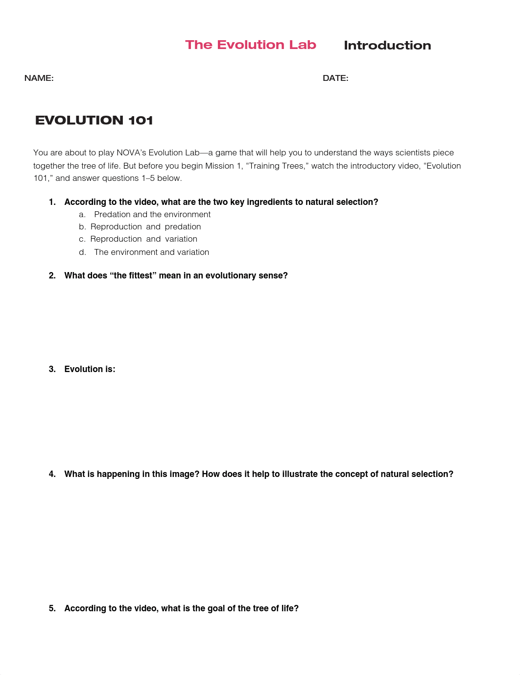 NOVA_Evolution_Lab_Worksheets.pdf_d99s8g6i1hc_page1