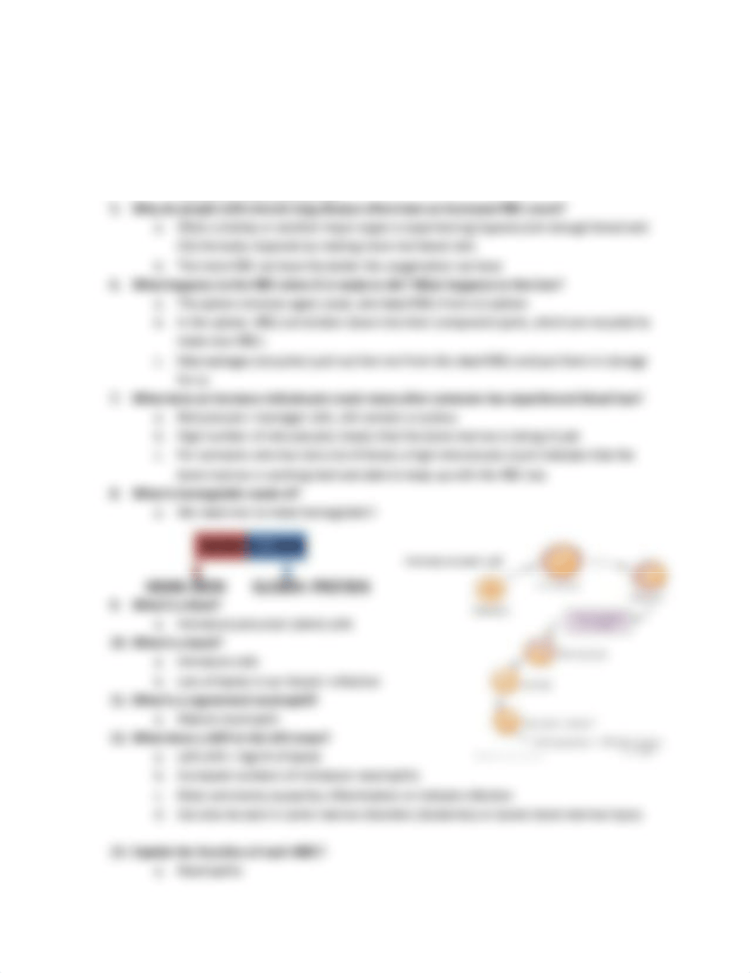 hematology notes  (1).pdf_d99ugvoktwv_page3