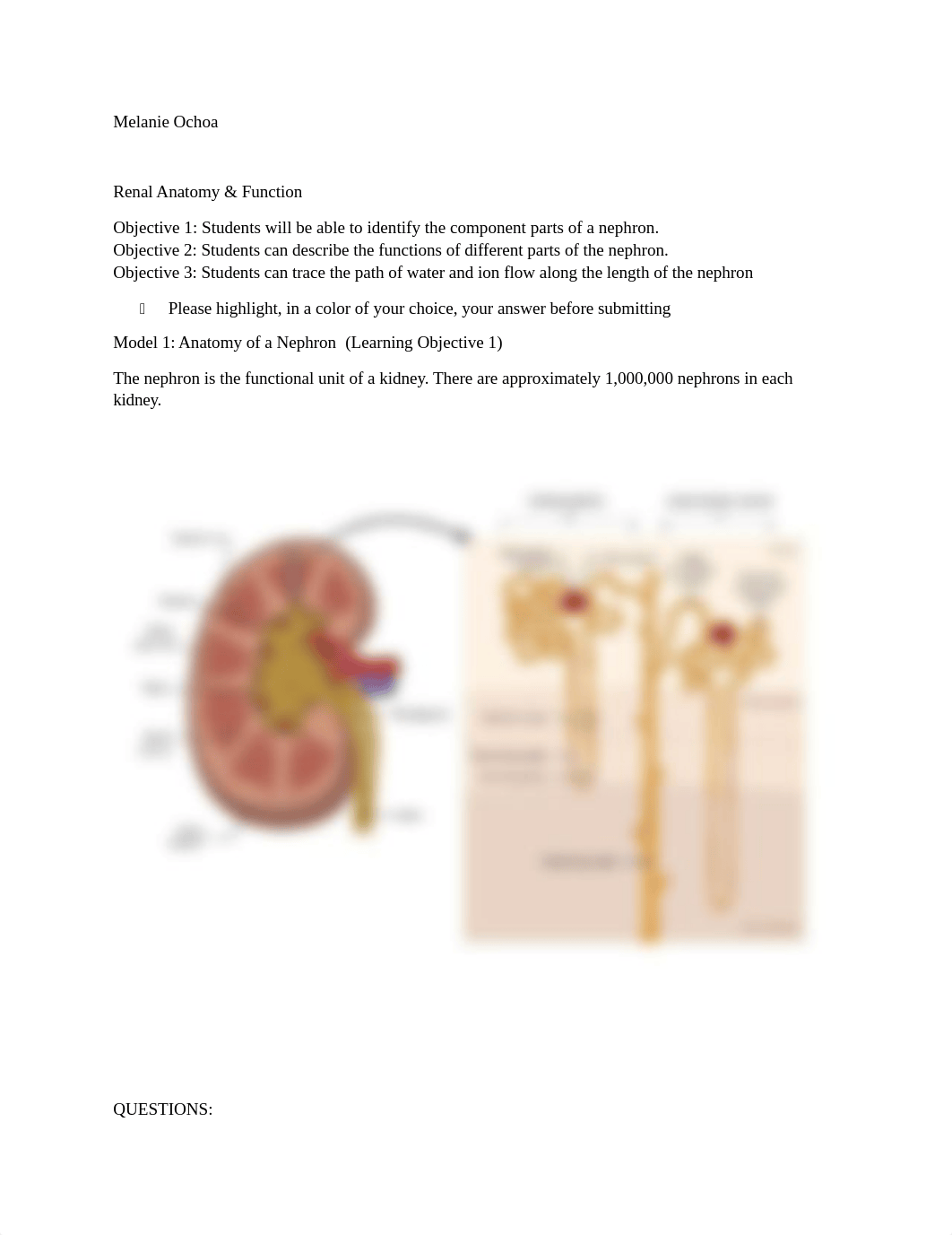 Lab POGIL - Melanie Ochoa.docx_d99w91goj76_page1