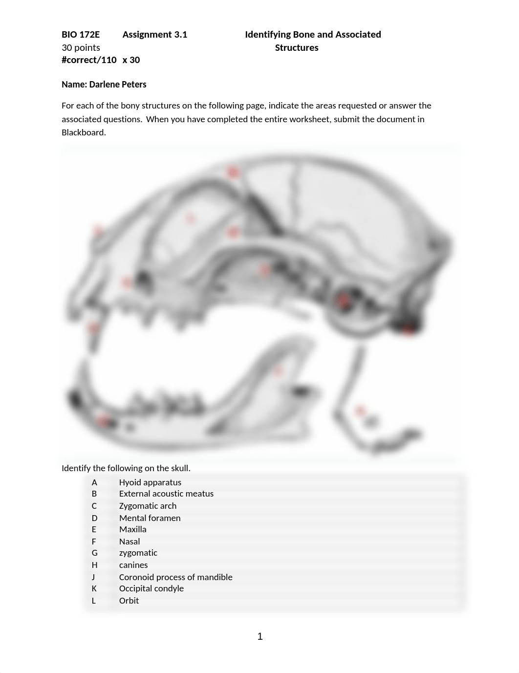 ASSN 3.1 Identifying Bone and Associated Structures.docx_d9a1ejig7ym_page1