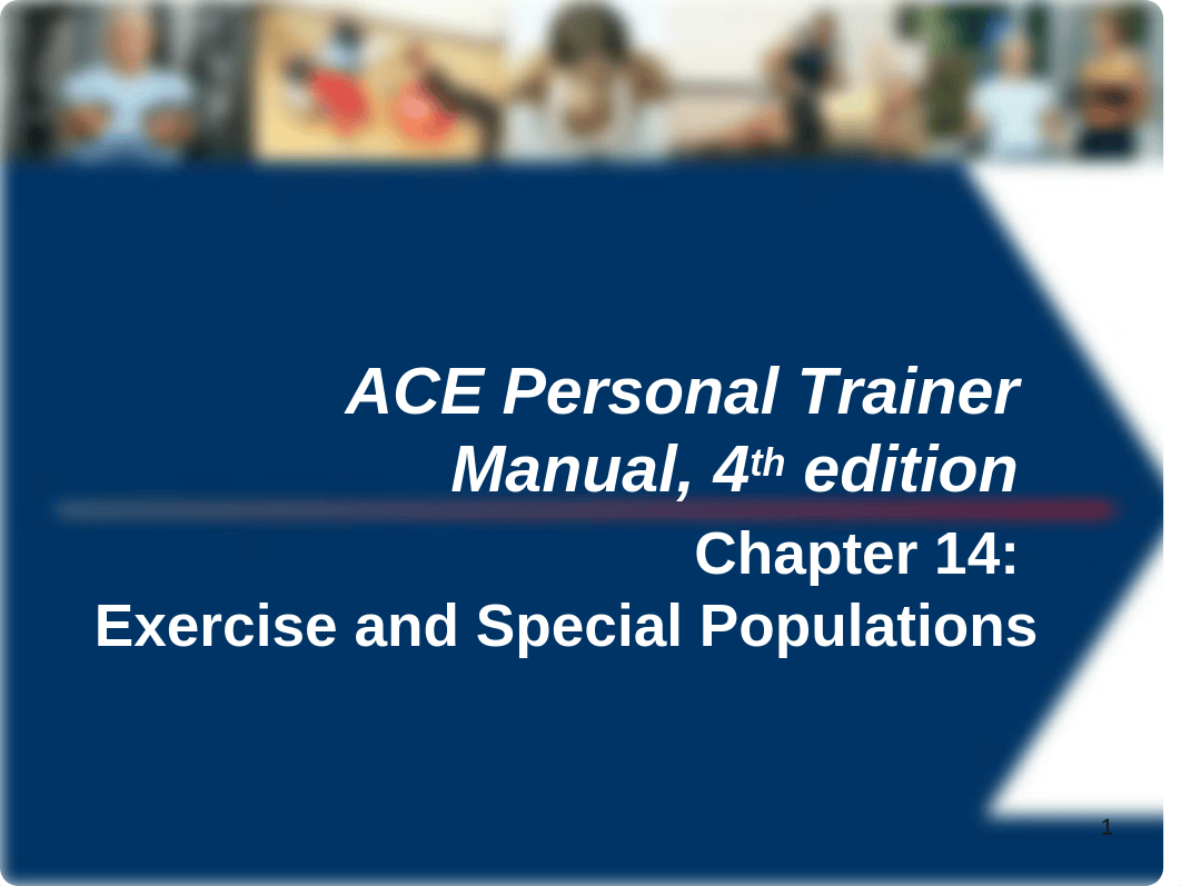 ACE+CH+14+manual.ppt_d9a54l6ek71_page1