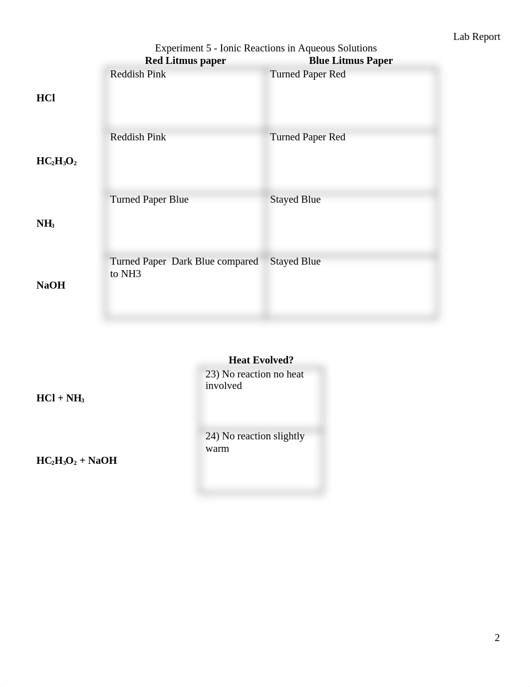 Lab 5.docx_d9a9zegltaf_page2