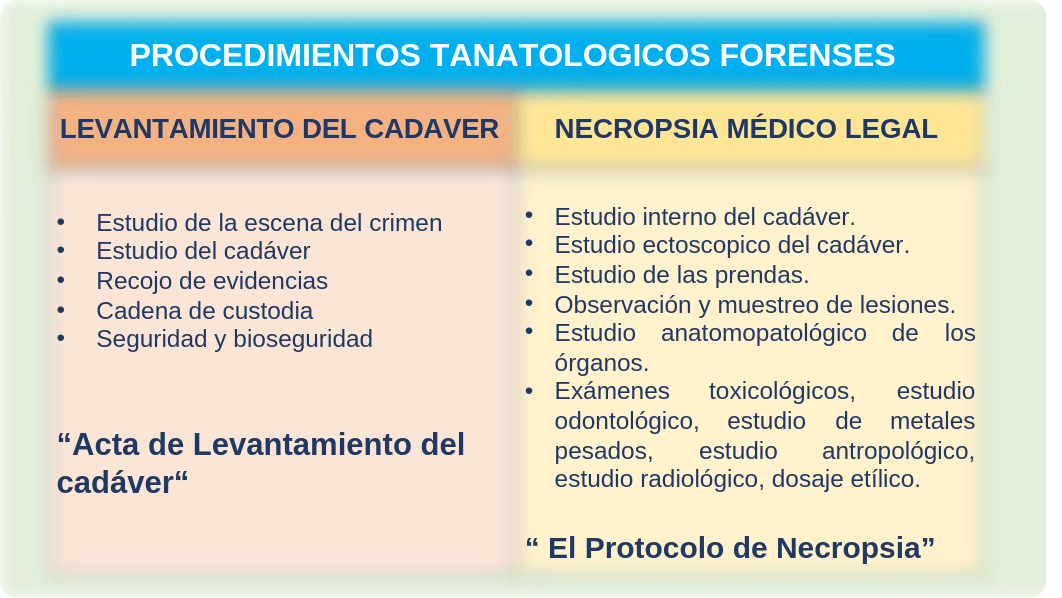 tarea3medlegal2.pptx_d9aayvyoyno_page2