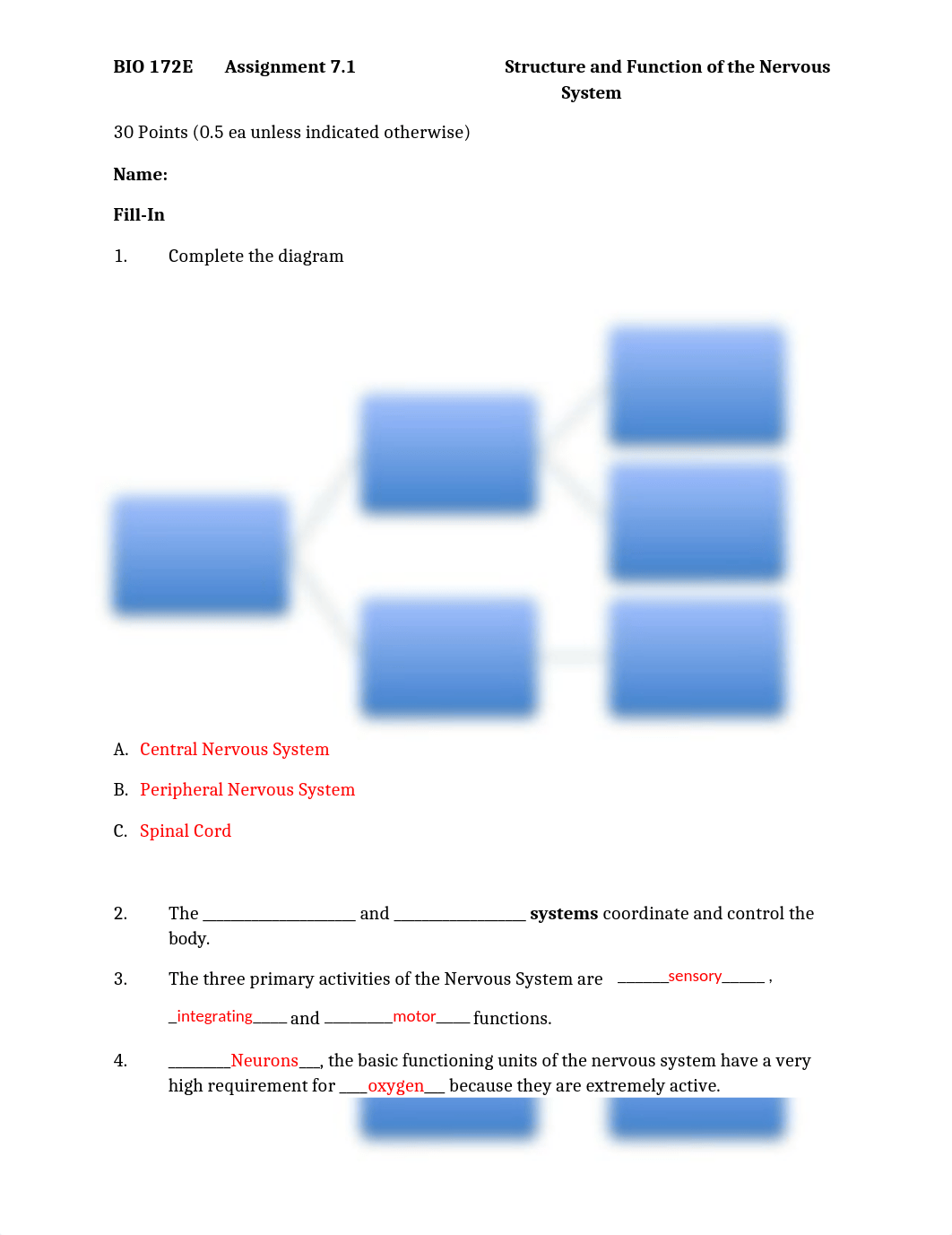 ASSN 7.1 Structure and Function of the Nervous System KEY.docx_d9aetjb77sp_page1