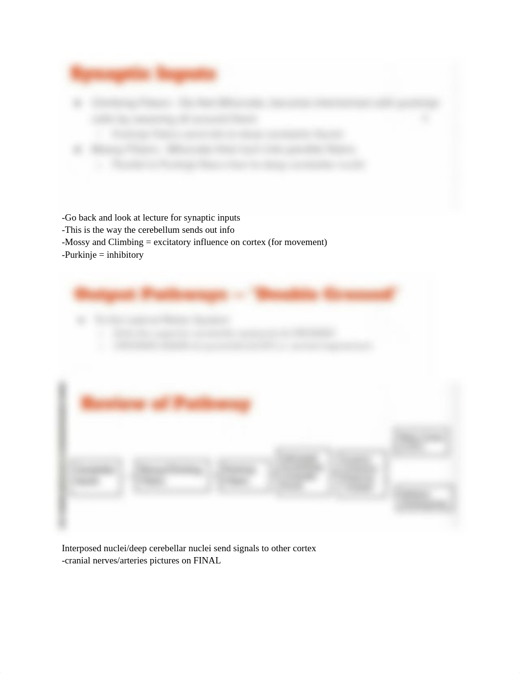 Neuro_Final_Exam_Tutoring_d9afpl48jc7_page4