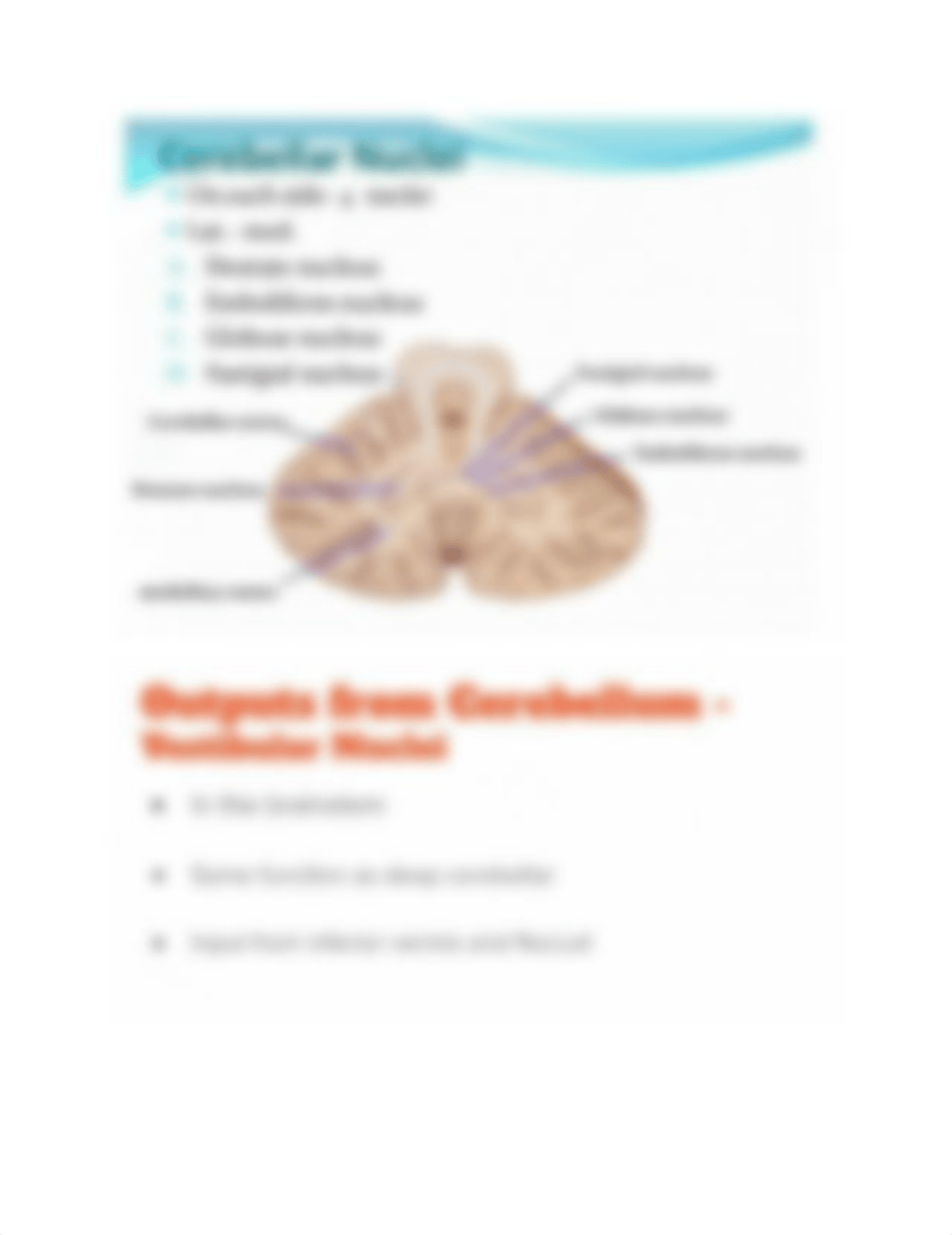 Neuro_Final_Exam_Tutoring_d9afpl48jc7_page3