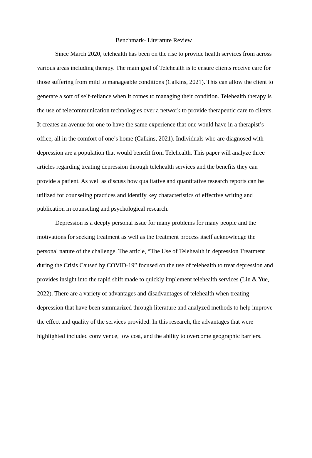 CNL 540- Benchmark Literature Review.docx_d9agze06gds_page2