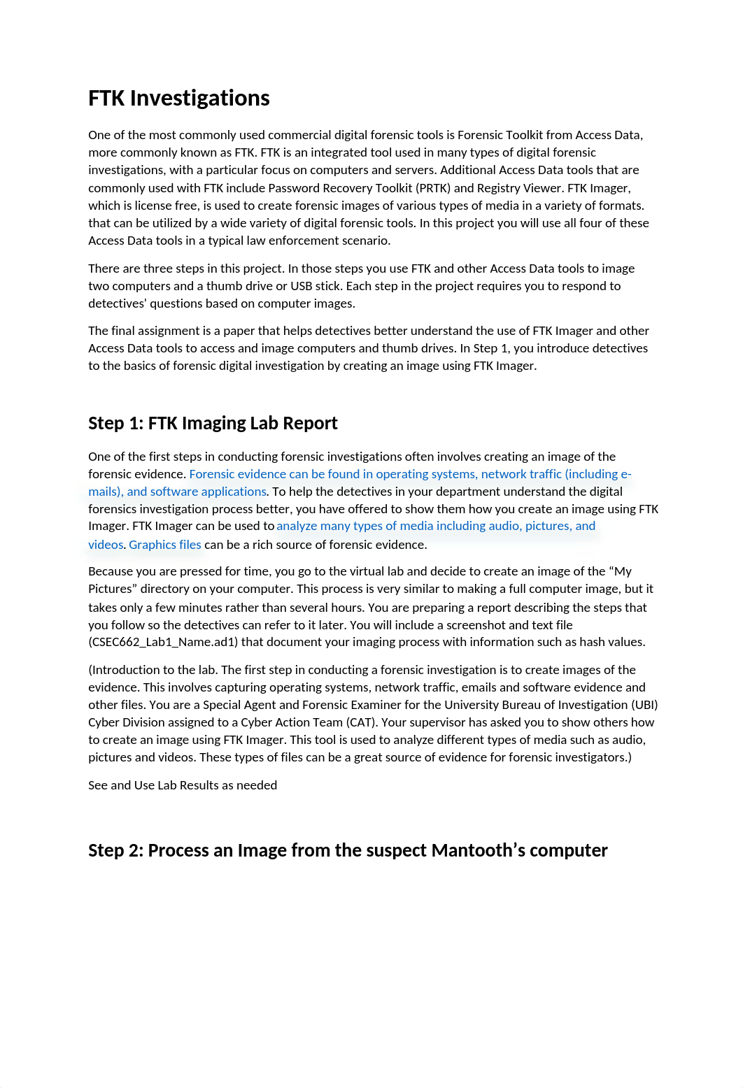 instructions-for-ftk-investigations.docx_d9aulsrcmme_page1