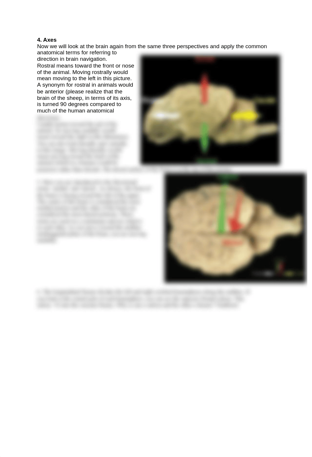 documents--BIOS195_W5_LAB_B_PartA_d9azno90ufl_page4