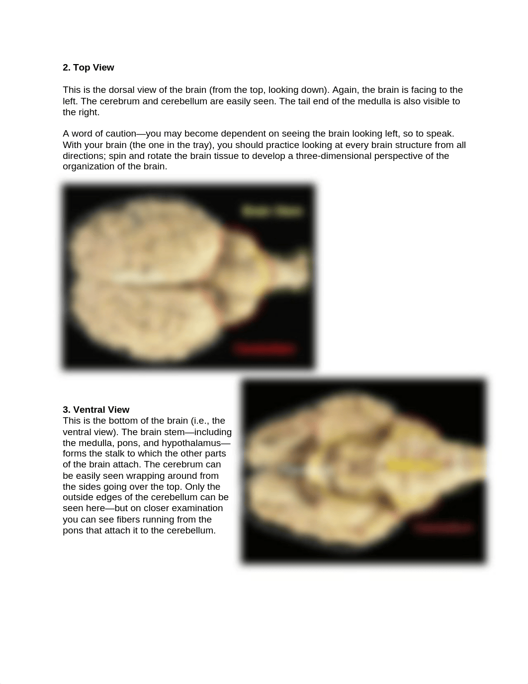 documents--BIOS195_W5_LAB_B_PartA_d9azno90ufl_page3