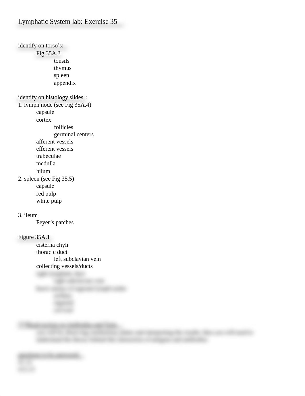 Lymphatic System lab_d9basovtxk4_page1