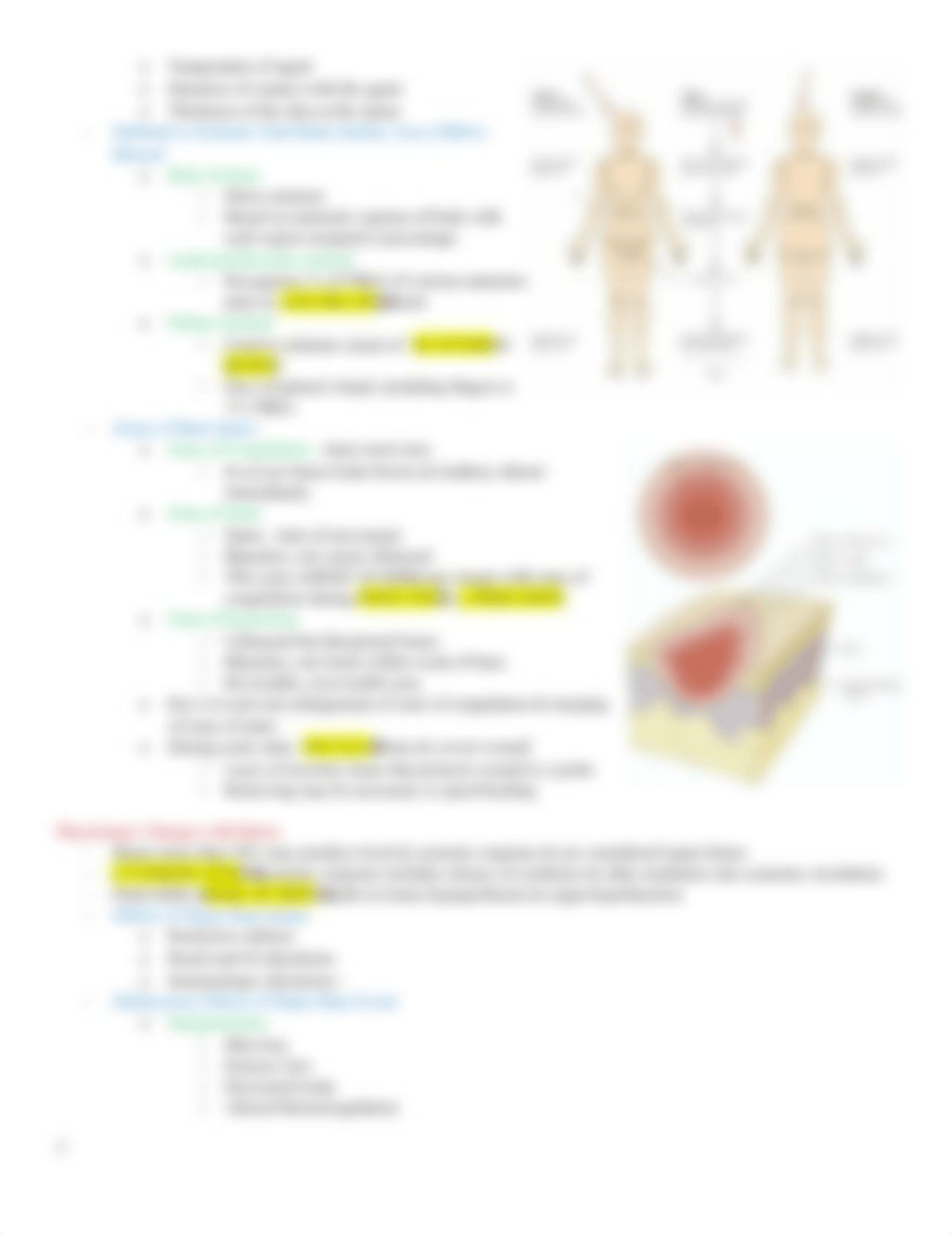 NU 406 WK 10 - 7A Integumentary Burn Injuries.docx_d9blge1qdac_page3