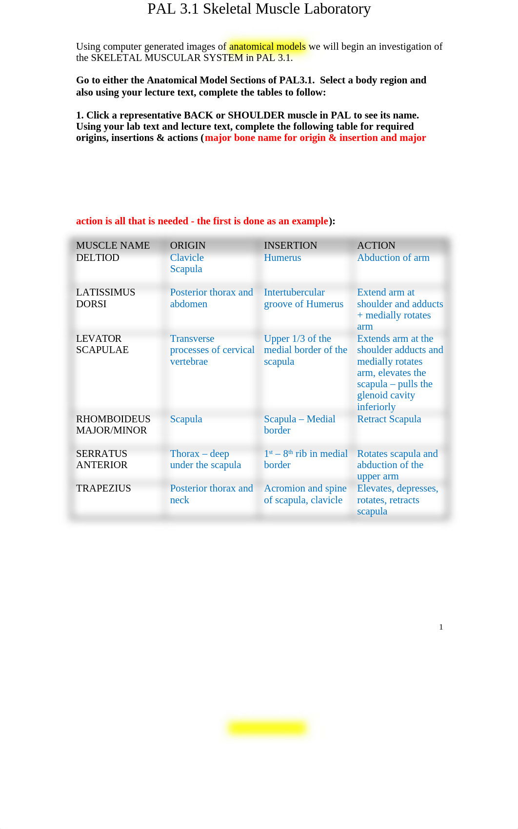 Skeletal muscle worksheet.doc_d9bme1rm6le_page1