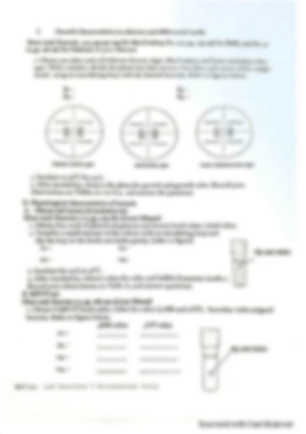 lab 7.pdf_d9bpwnmcca3_page2