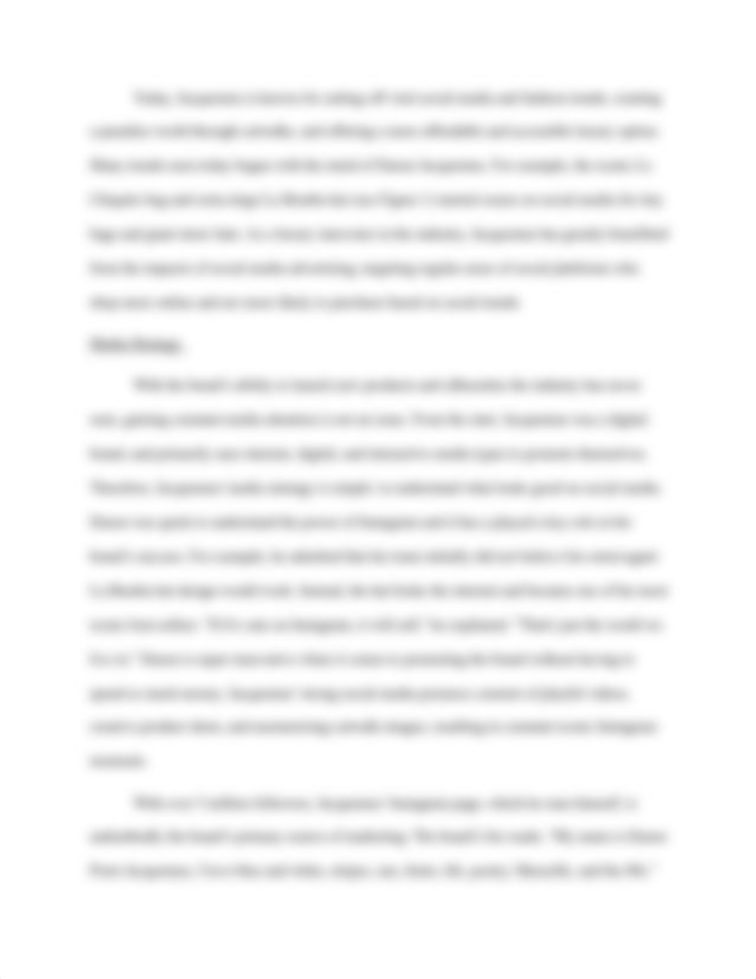 Final Project-Jacquemus Brand.docx_d9brndi76po_page3