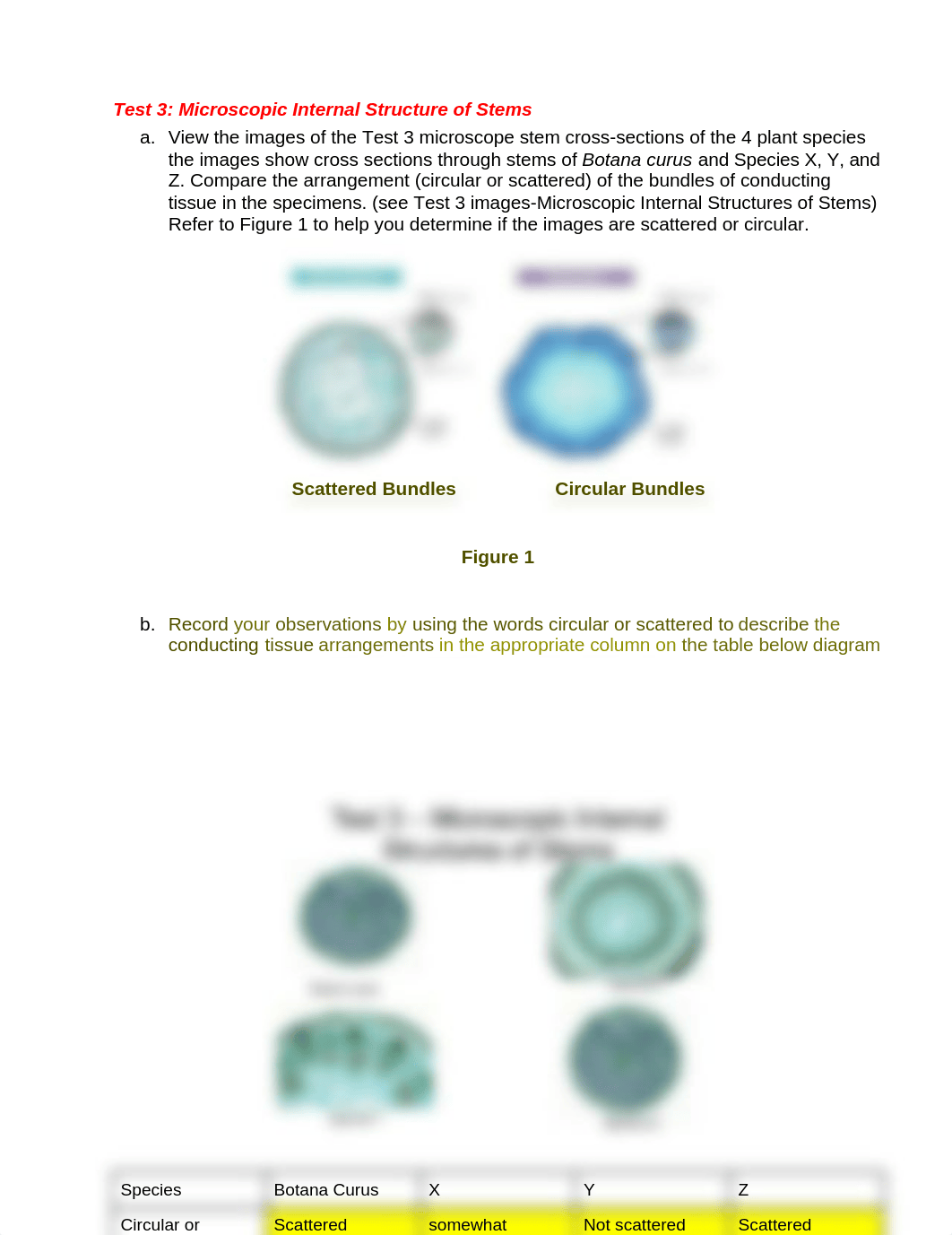 Relationships and Biodiversity Student Laboratory .docx_d9c2ob20mj3_page3