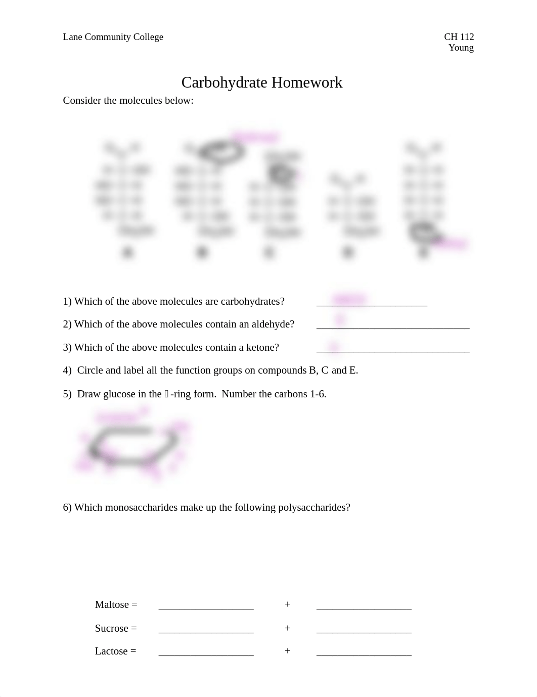 HW - Carbohydrates.pdf_d9cca6qw5q4_page1