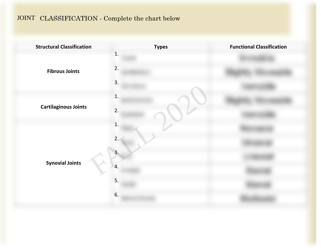 Anatomy Chapter 8 Lab.pdf_d9ciqg4aw6d_page3