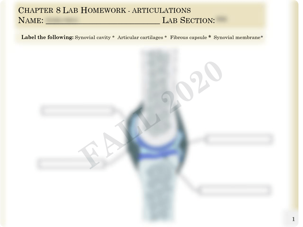 Anatomy Chapter 8 Lab.pdf_d9ciqg4aw6d_page1