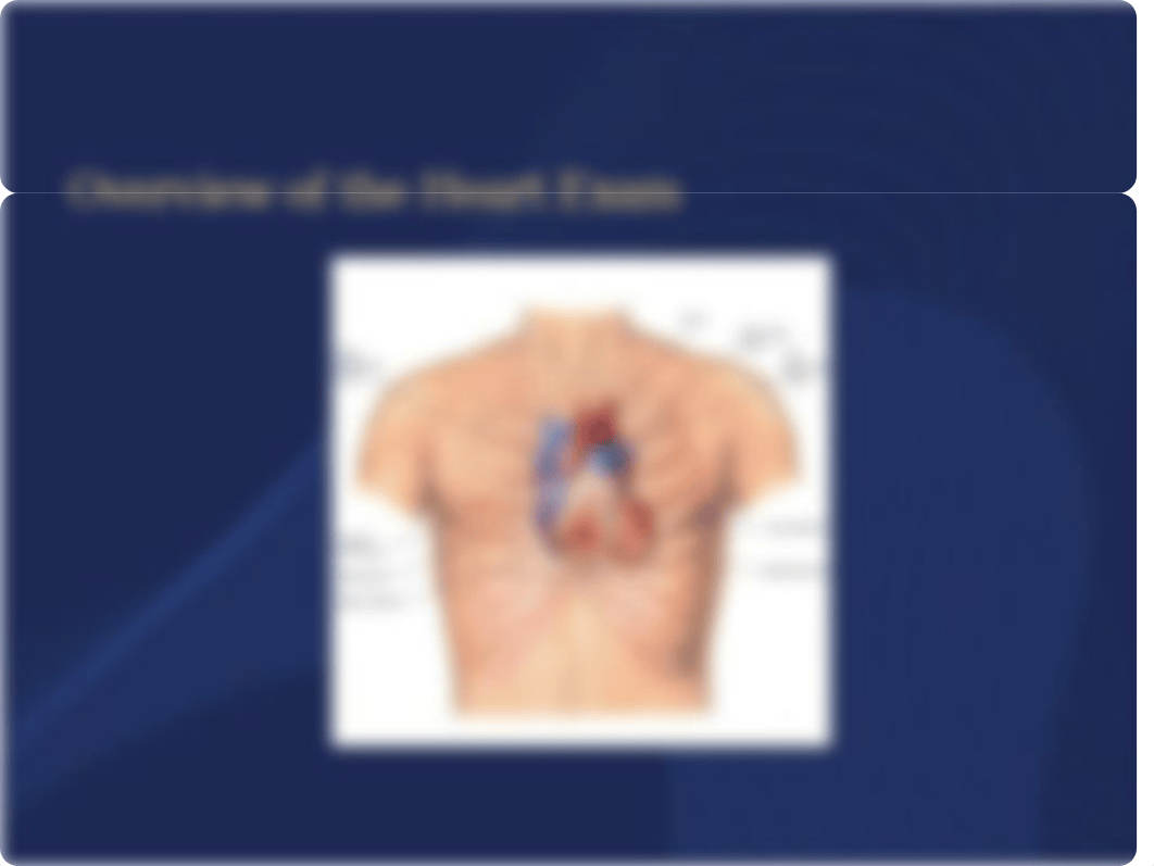 Heart & Lung Exam Part 2.pptx_d9cns0x84q5_page2