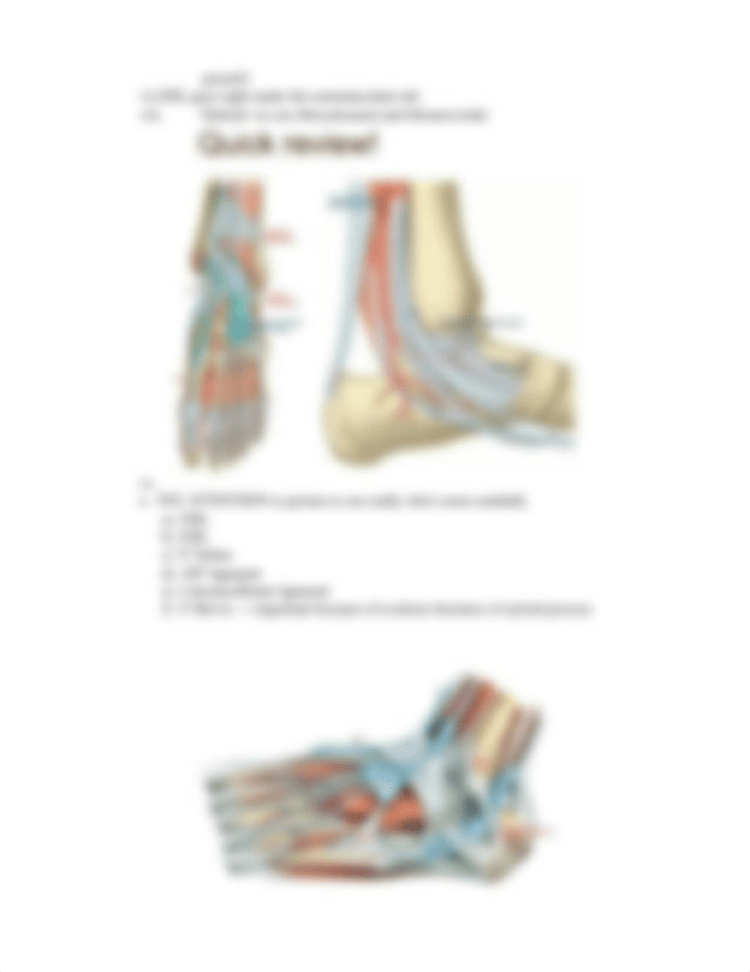 Biomechanics-Ankle-Biomechanics-3-10-16 (1).pdf_d9cyh2gt84d_page3