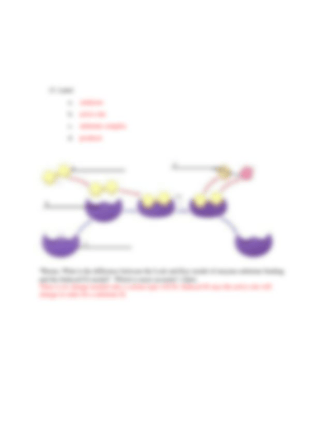 Liver Enzyme Lab.docx_d9czn0rx5oe_page2