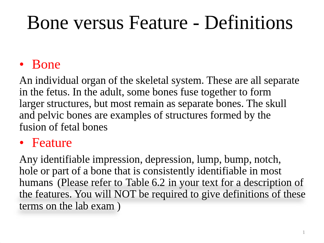 Lab_7_Axial_Skeleton.pdf_d9d0h20q89l_page2