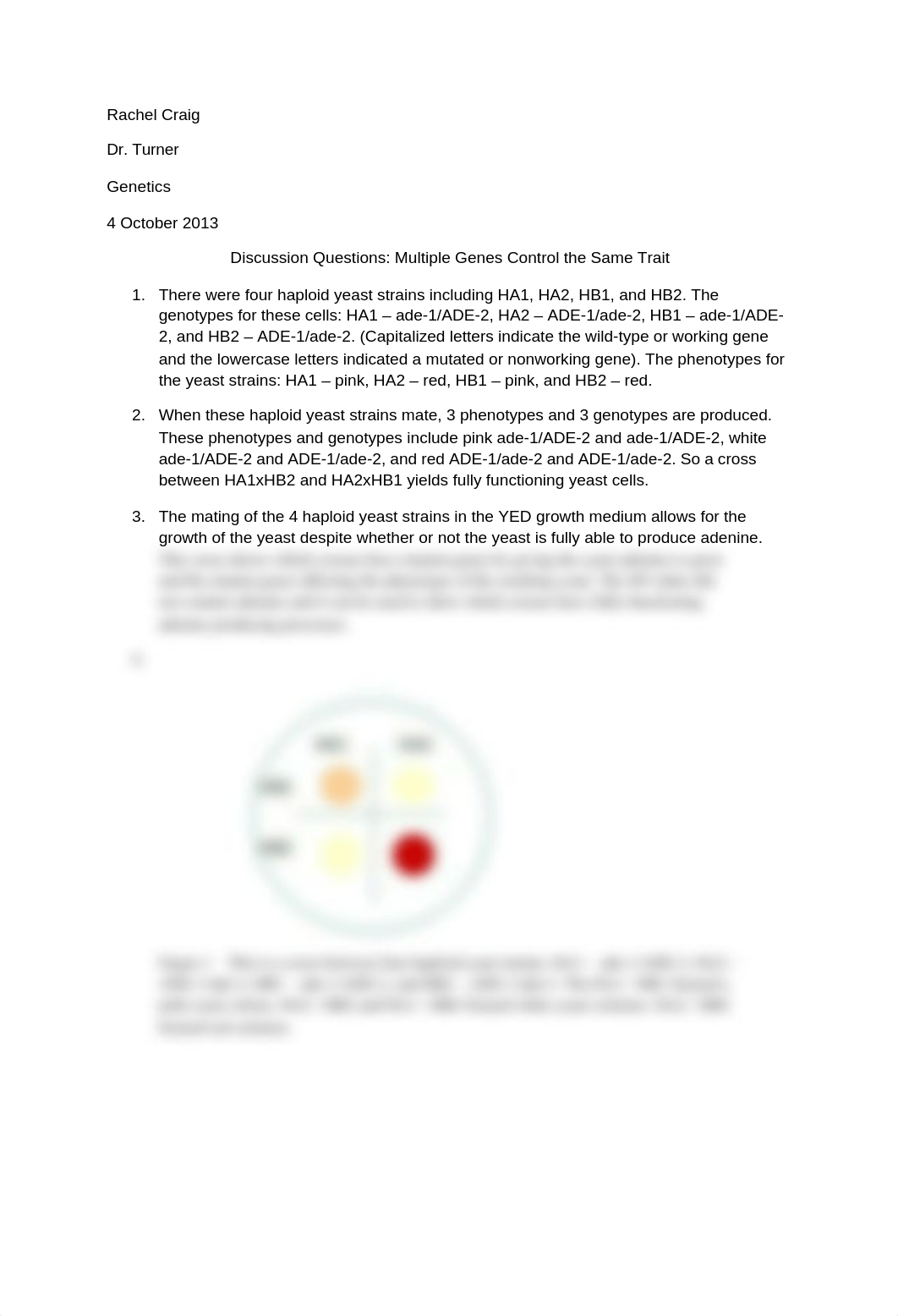 Discussion Questions- Multiple Genes 1 Trait_d9d2w02sgq1_page1