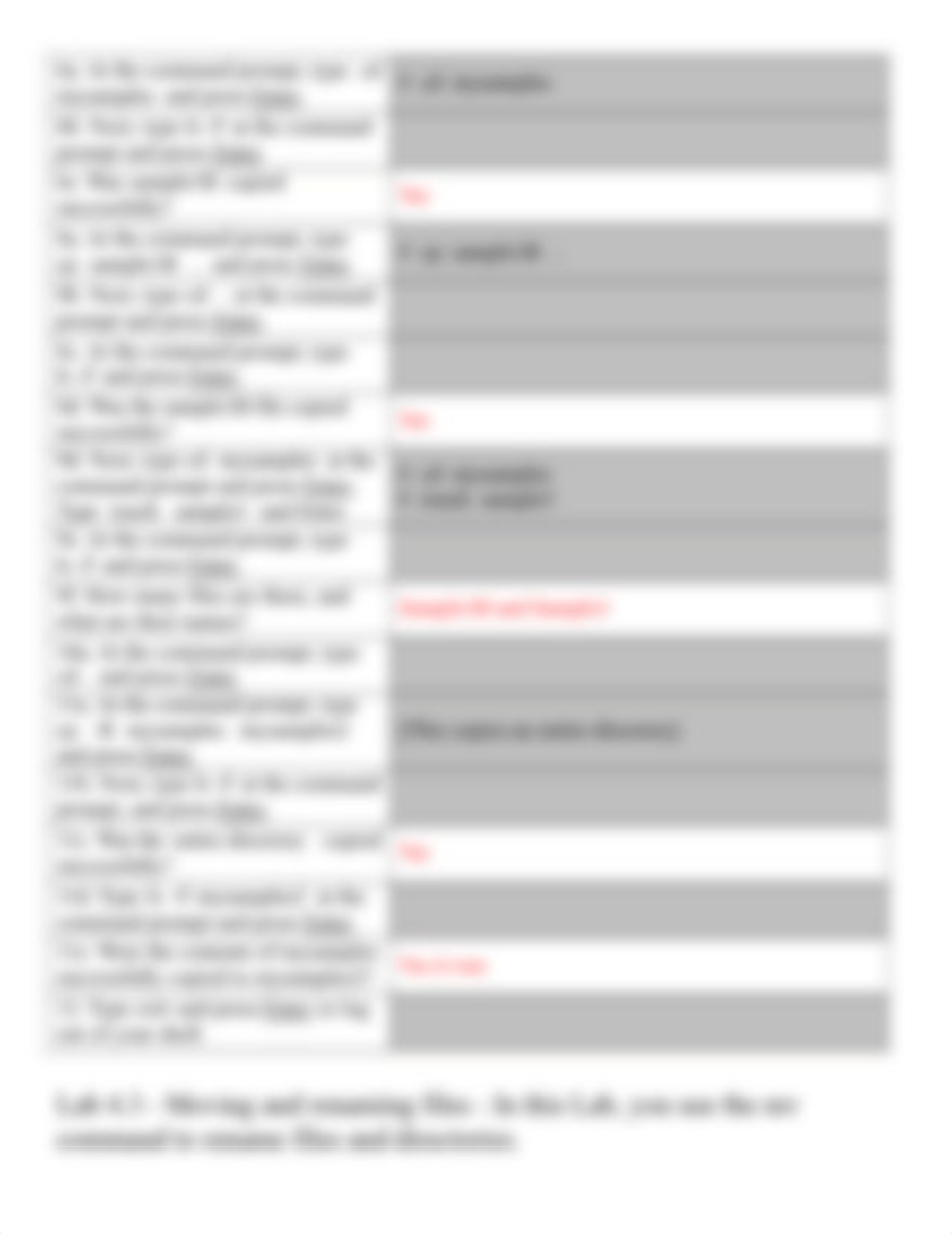 Chapter 4 Labs v201820 - student (AutoRecovered).docx_d9d5osd6pe6_page3