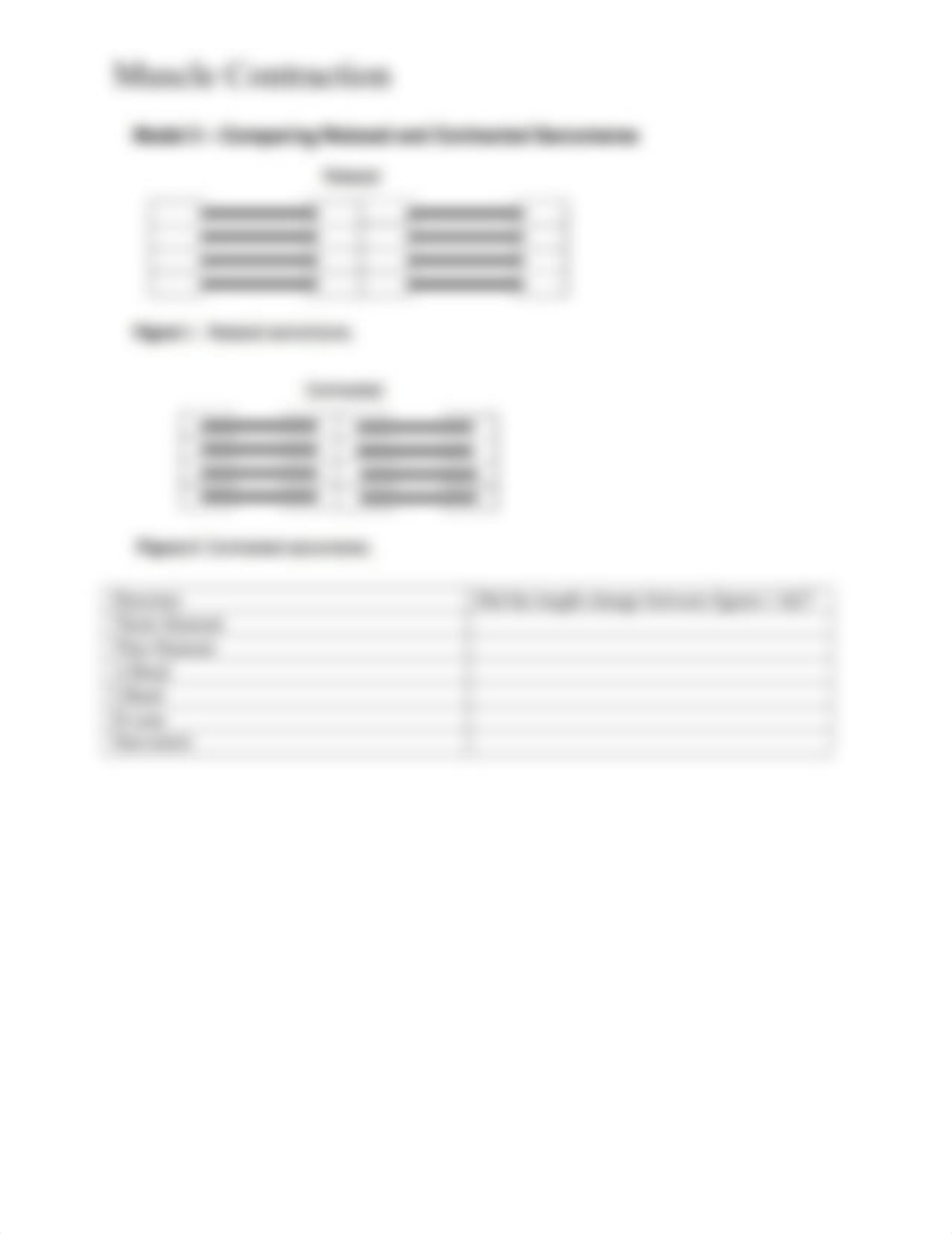 Anatomy of a SarcomerePractice.docx_d9dalr2rn2l_page2