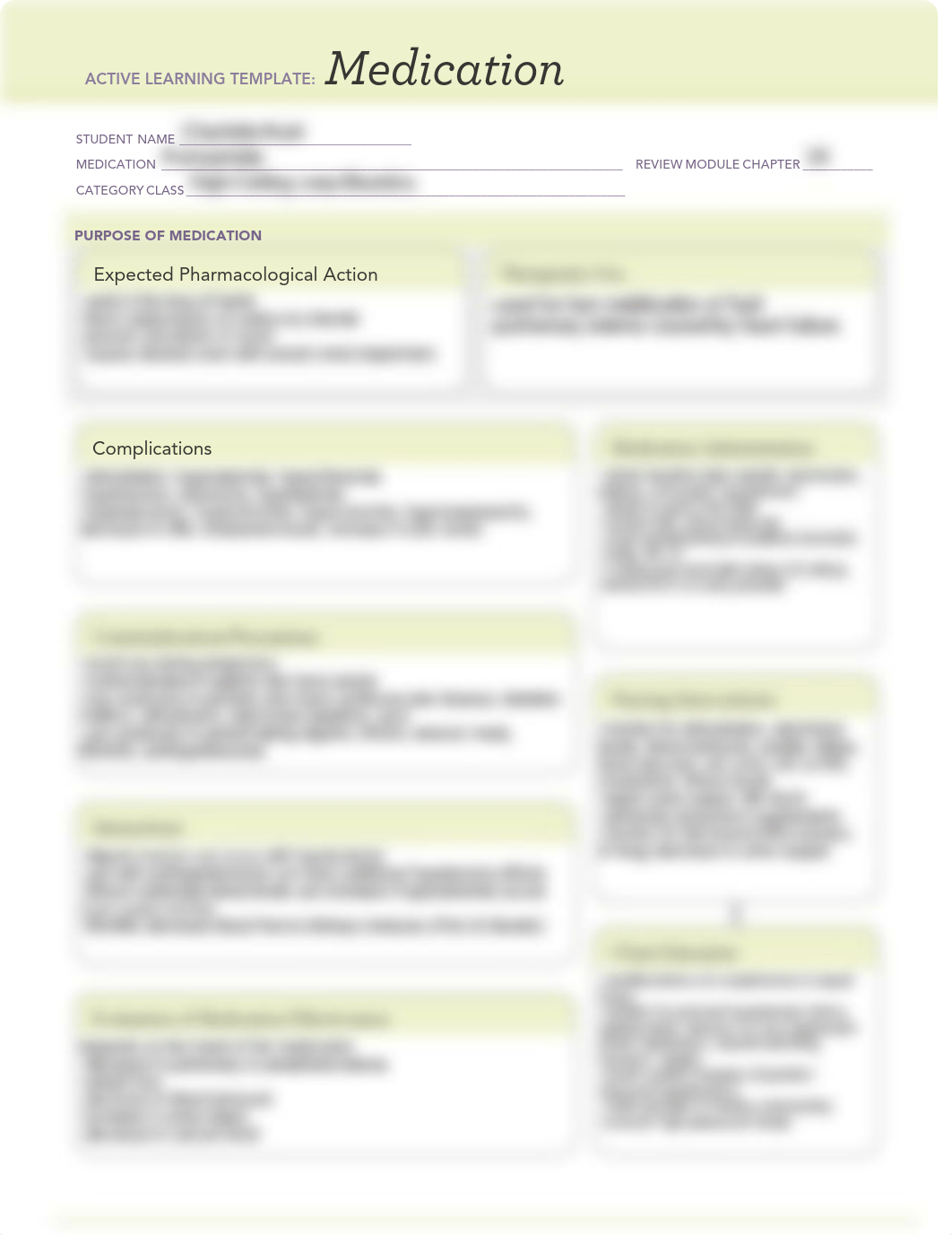 Furosemide- Medication Template.pdf_d9daqkjzgmd_page1