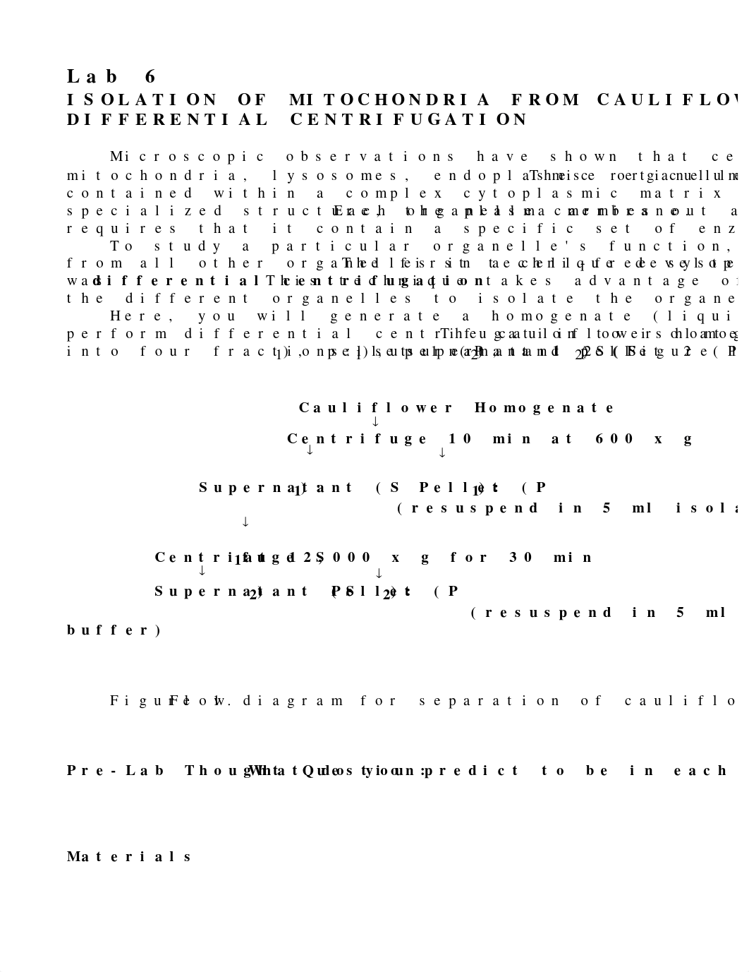 Labs 6 & 7 Mitochondrial isolation, SDH analysis-2.docx_d9daxwyg615_page1